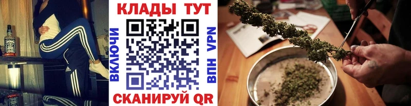 Магазины продажи наркотиков Завитинск Cocaine Alpha-PVP Мефедрон Гашиш Конопля