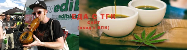 крисы Алзамай