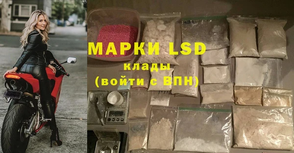 крисы Алзамай