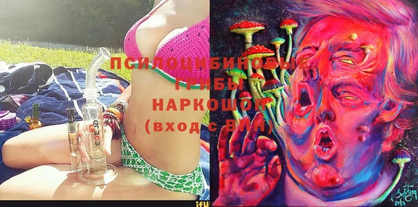 крисы Алзамай