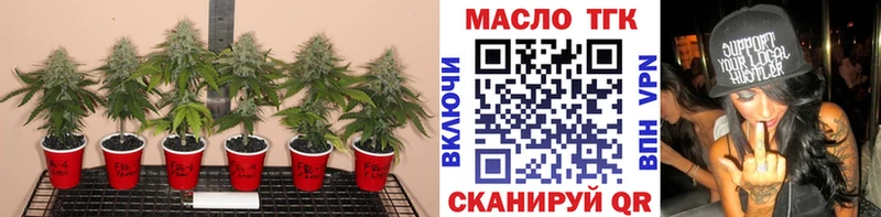 кракен вход Завитинск нарко площадка какой сайт ТГК гашишное масло