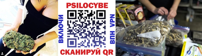 хочу наркоту  Завитинск  мега ссылки  Галлюциногенные грибы GOLDEN TEACHER 